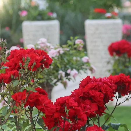 Rezort Barcelo Royal 5*