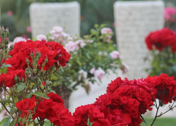 אתר נופש Barcelo Royal 5*